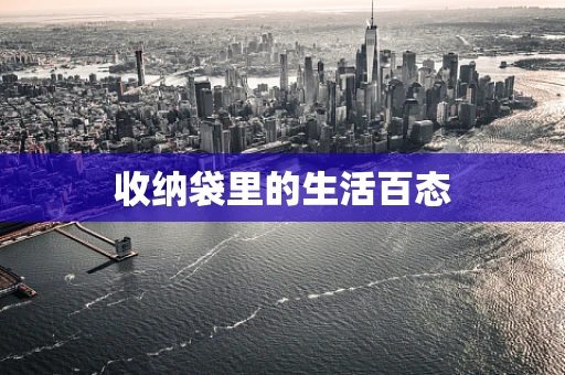 收纳袋里的生活百态