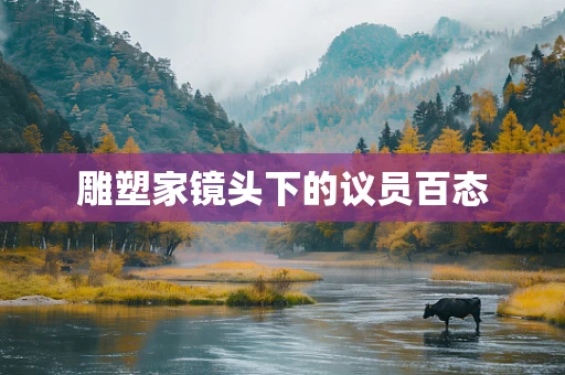 雕塑家镜头下的议员百态