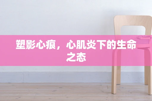 塑影心痕，心肌炎下的生命之态