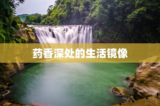 药香深处的生活镜像