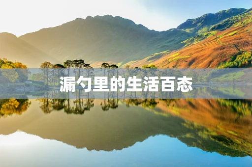 漏勺里的生活百态
