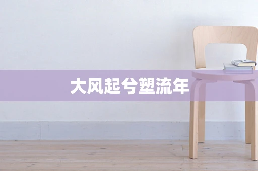 大风起兮塑流年