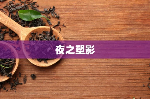 夜之塑影