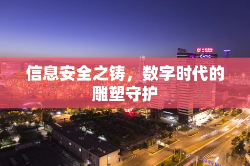 信息安全之铸，数字时代的雕塑守护