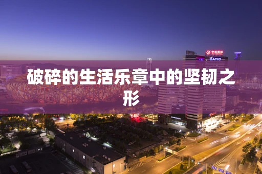 破碎的生活乐章中的坚韧之形
