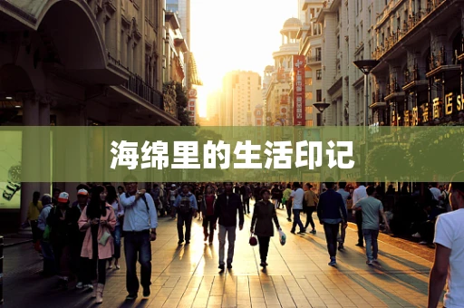 海绵里的生活印记