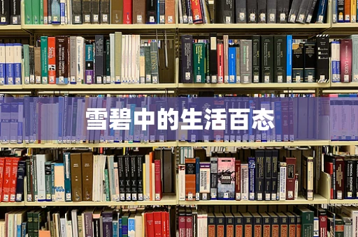 雪碧中的生活百态