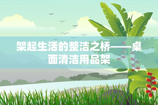架起生活的整洁之桥——桌面清洁用品架