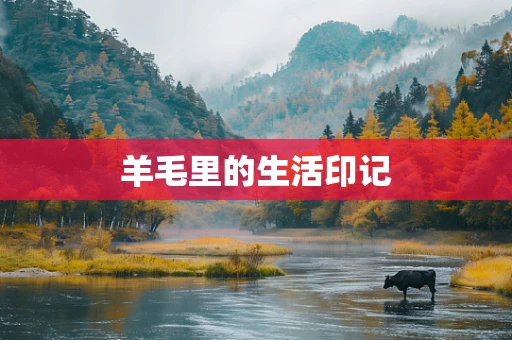 羊毛里的生活印记