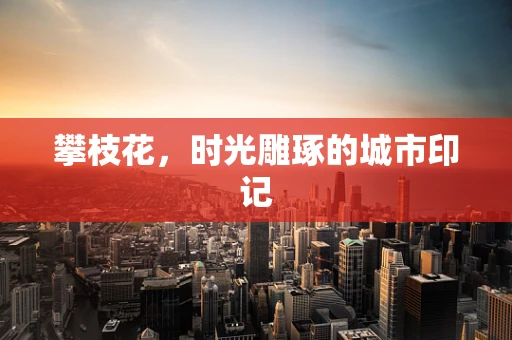 攀枝花，时光雕琢的城市印记