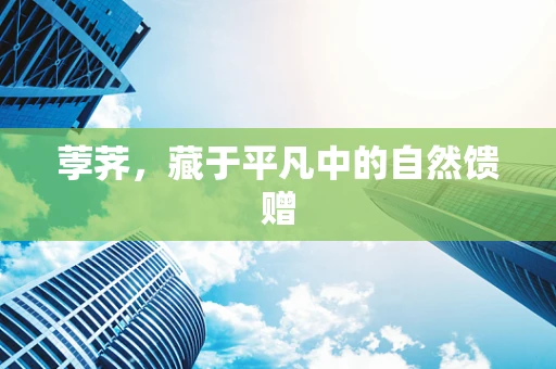荸荠，藏于平凡中的自然馈赠