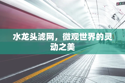 水龙头滤网，微观世界的灵动之美