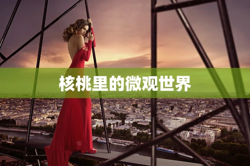 核桃里的微观世界