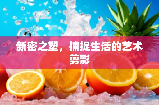 新密之塑，捕捉生活的艺术剪影