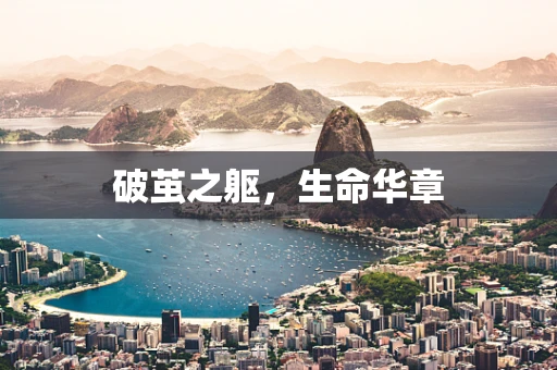 破茧之躯，生命华章