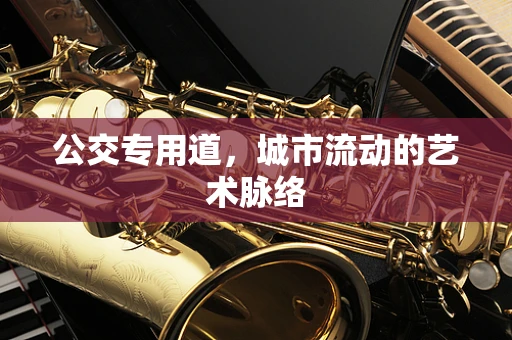公交专用道，城市流动的艺术脉络
