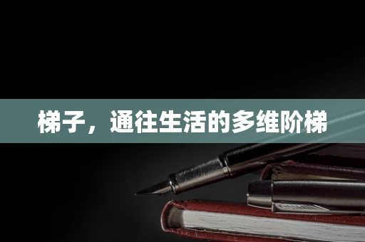 梯子，通往生活的多维阶梯