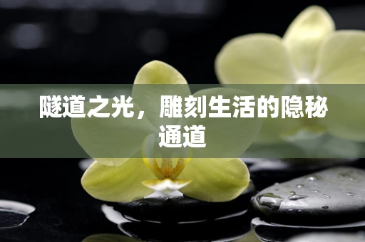 隧道之光，雕刻生活的隐秘通道