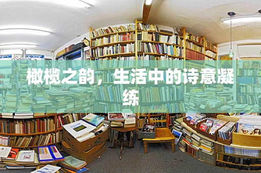 橄榄之韵，生活中的诗意凝练