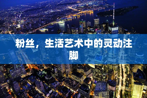 粉丝，生活艺术中的灵动注脚
