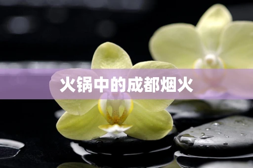 火锅中的成都烟火