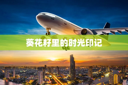 葵花籽里的时光印记