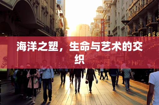 海洋之塑，生命与艺术的交织