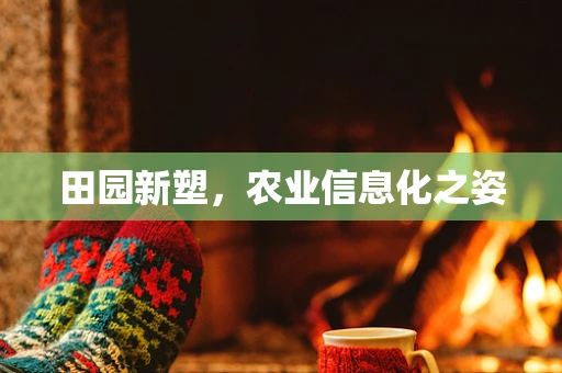 田园新塑，农业信息化之姿