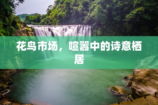 花鸟市场，喧嚣中的诗意栖居