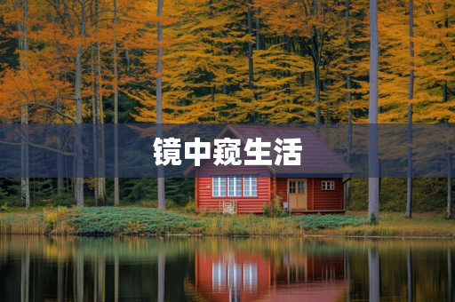 镜中窥生活