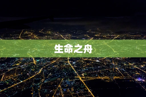 生命之舟
