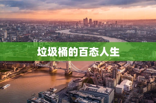 垃圾桶的百态人生