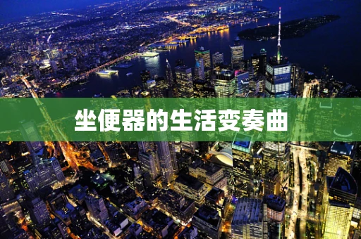 坐便器的生活变奏曲