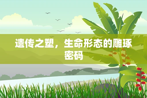 遗传之塑，生命形态的雕琢密码