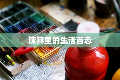 簸箕里的生活百态