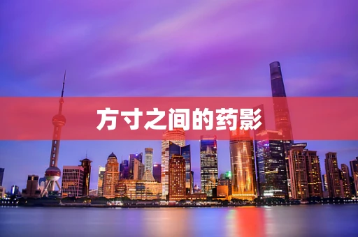 方寸之间的药影