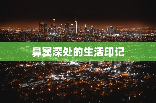 鼻窦深处的生活印记