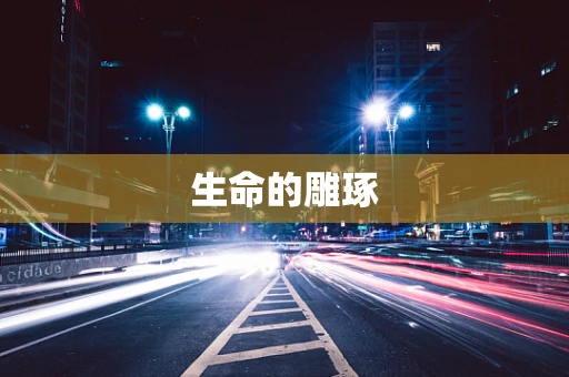 生命的雕琢