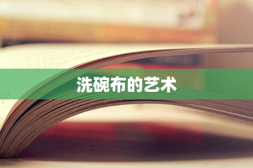 洗碗布的艺术