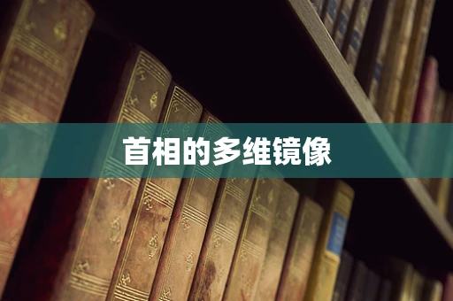 首相的多维镜像