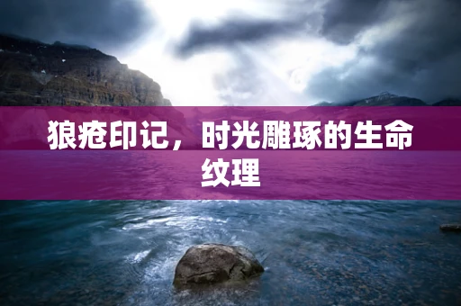 狼疮印记，时光雕琢的生命纹理