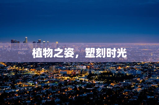 植物之姿，塑刻时光