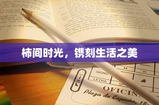柿间时光，镌刻生活之美
