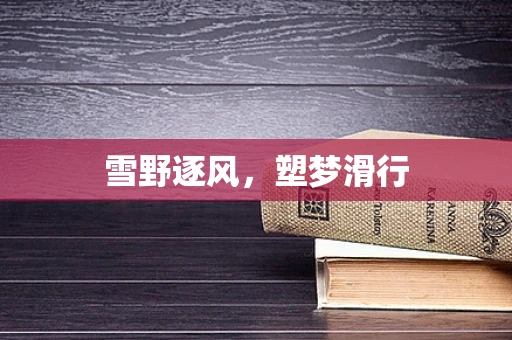 雪野逐风，塑梦滑行
