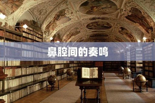 鼻腔间的奏鸣