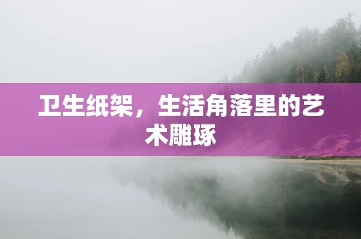 卫生纸架，生活角落里的艺术雕琢