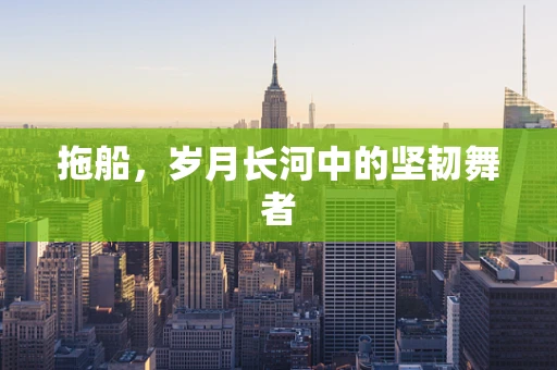 拖船，岁月长河中的坚韧舞者