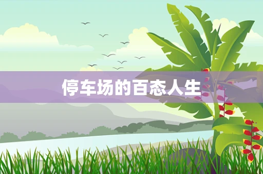 停车场的百态人生