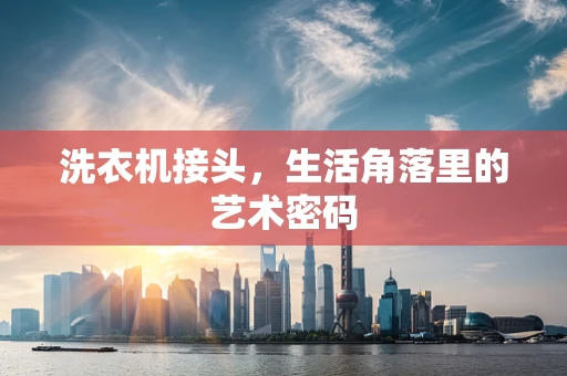 洗衣机接头，生活角落里的艺术密码