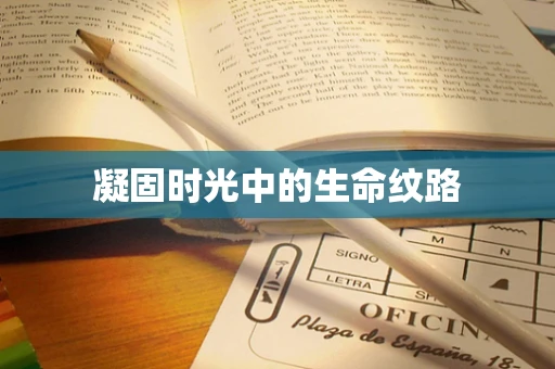 凝固时光中的生命纹路
